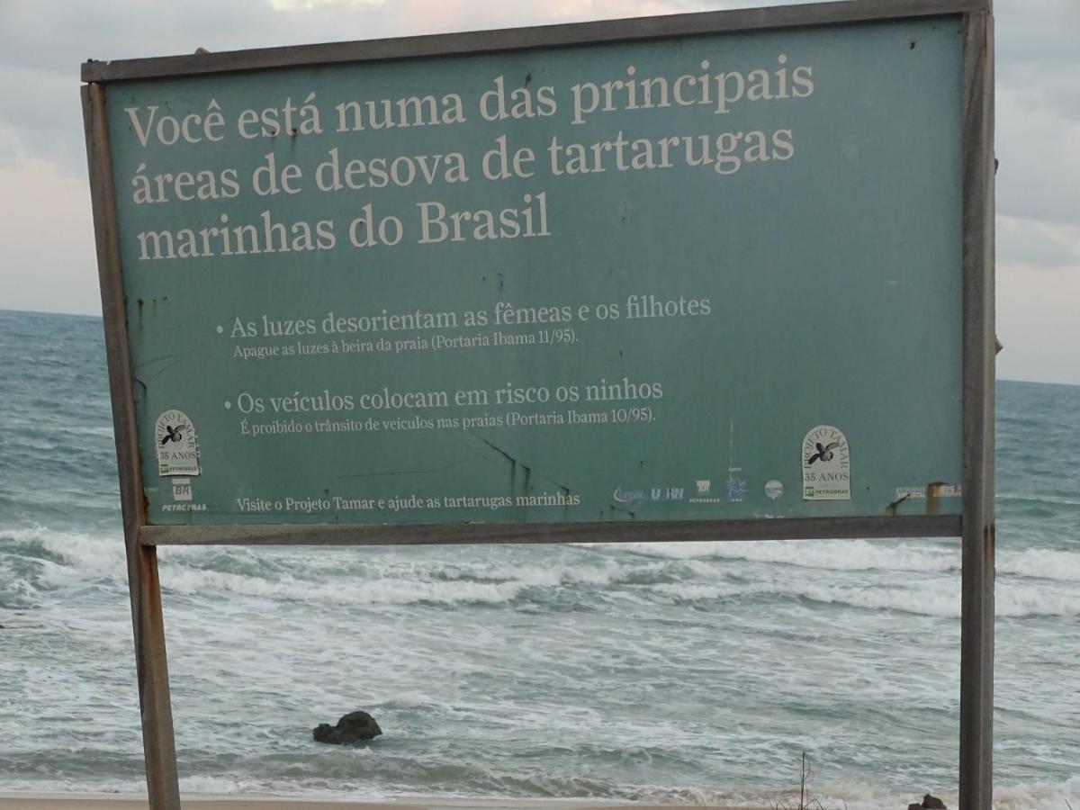 Hostel Terra Viva Praia de Pipa Exterior foto